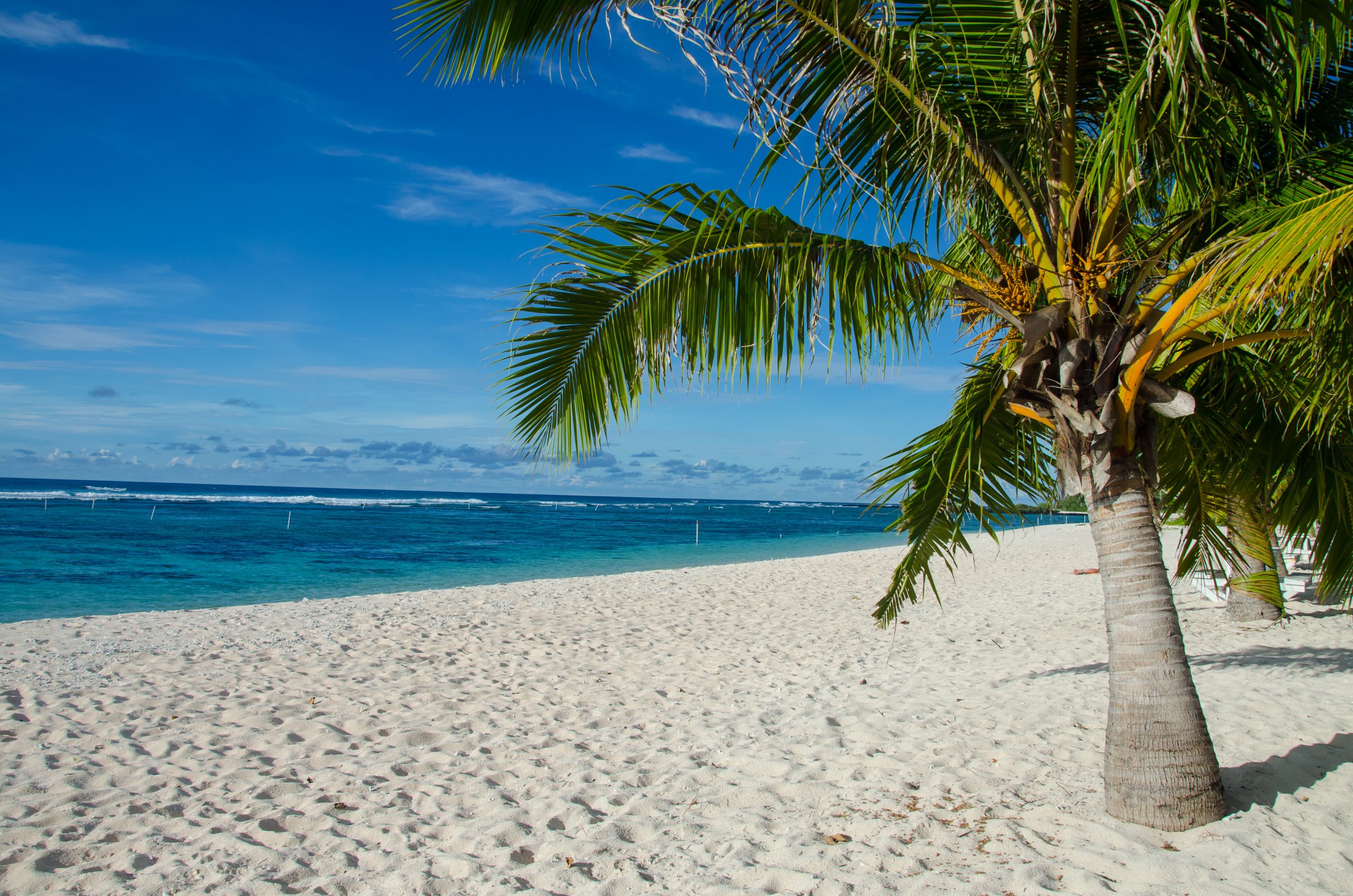 Punta Cana – relaxare și aventură în paradisul Republicii Dominicane